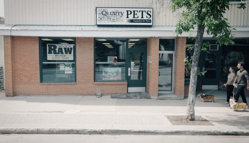 Your Pet’s Happy Place